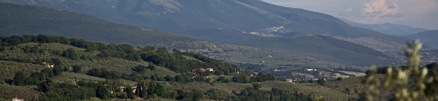 Umbria Wine Tours - Parco Monte Subasio